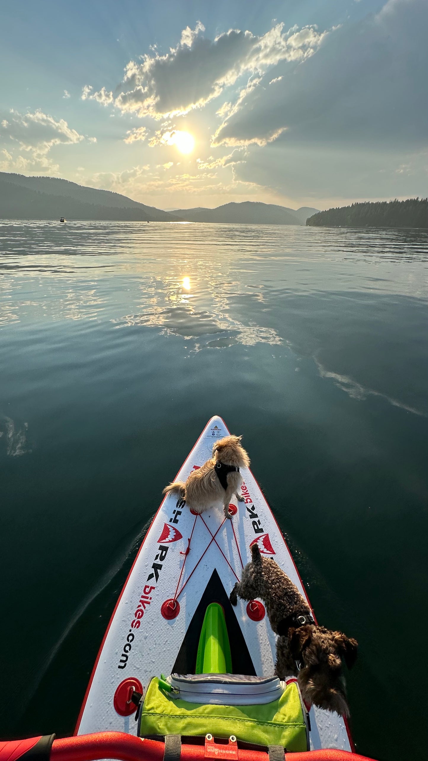 Pedal-powered Surf-Cycle water bike rental on Flathead Lake—delivered to lake cabins, docks, and Montana waterfronts for family-friendly cruising fun. Rent at MontanaBoarders.com
