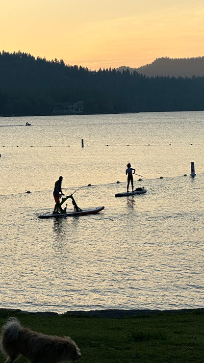 Water Bike Paddleboards