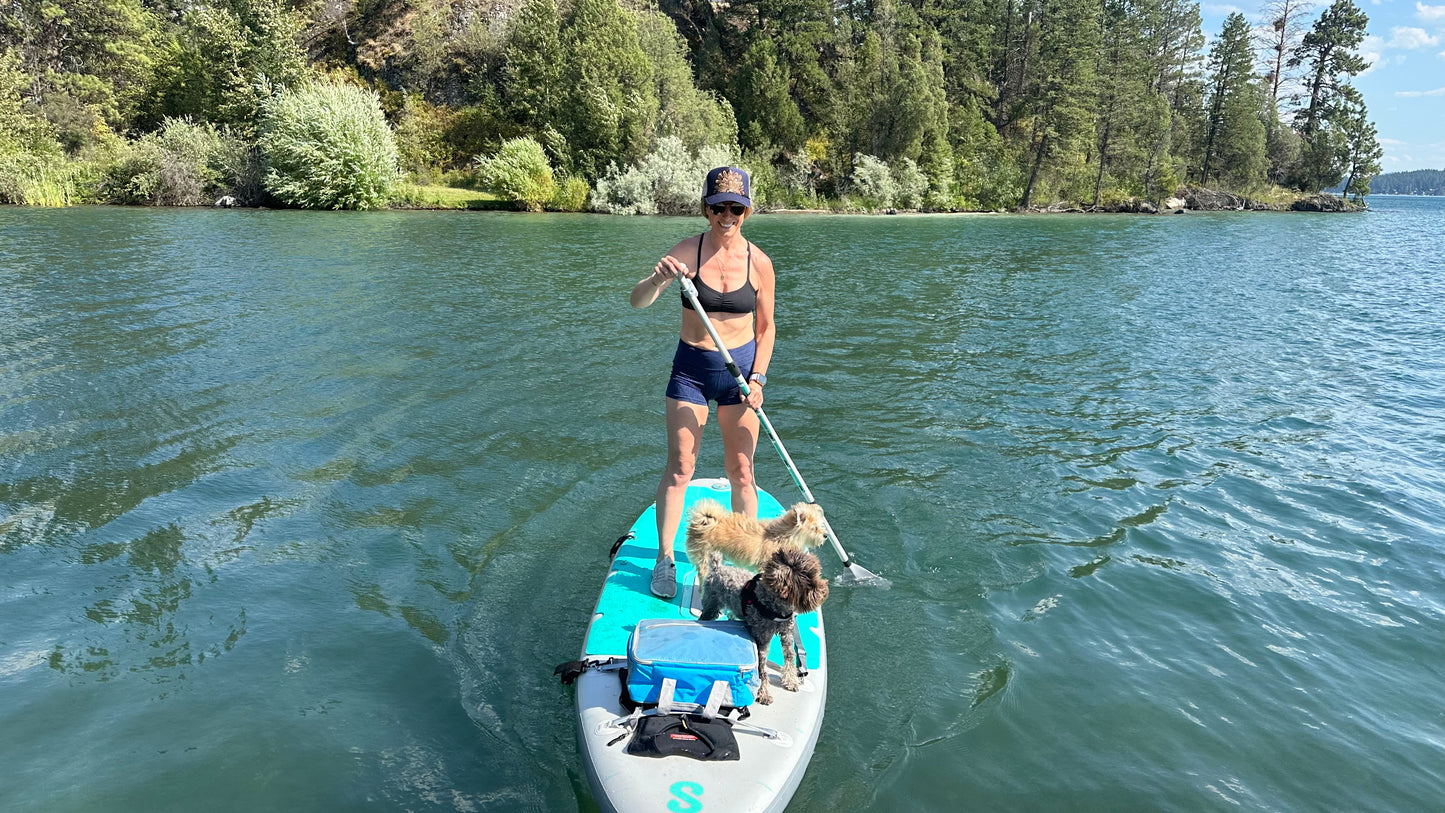 Woman paddleboarding on a lake with two dogs