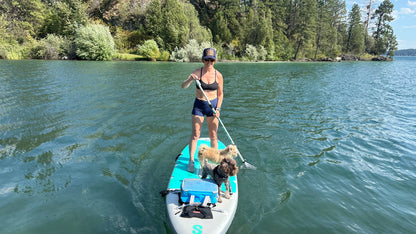 Woman paddleboarding on a lake with two dogs