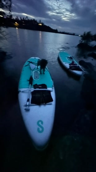 Dog standing on a teal and white paddleboard on a lake at night.
