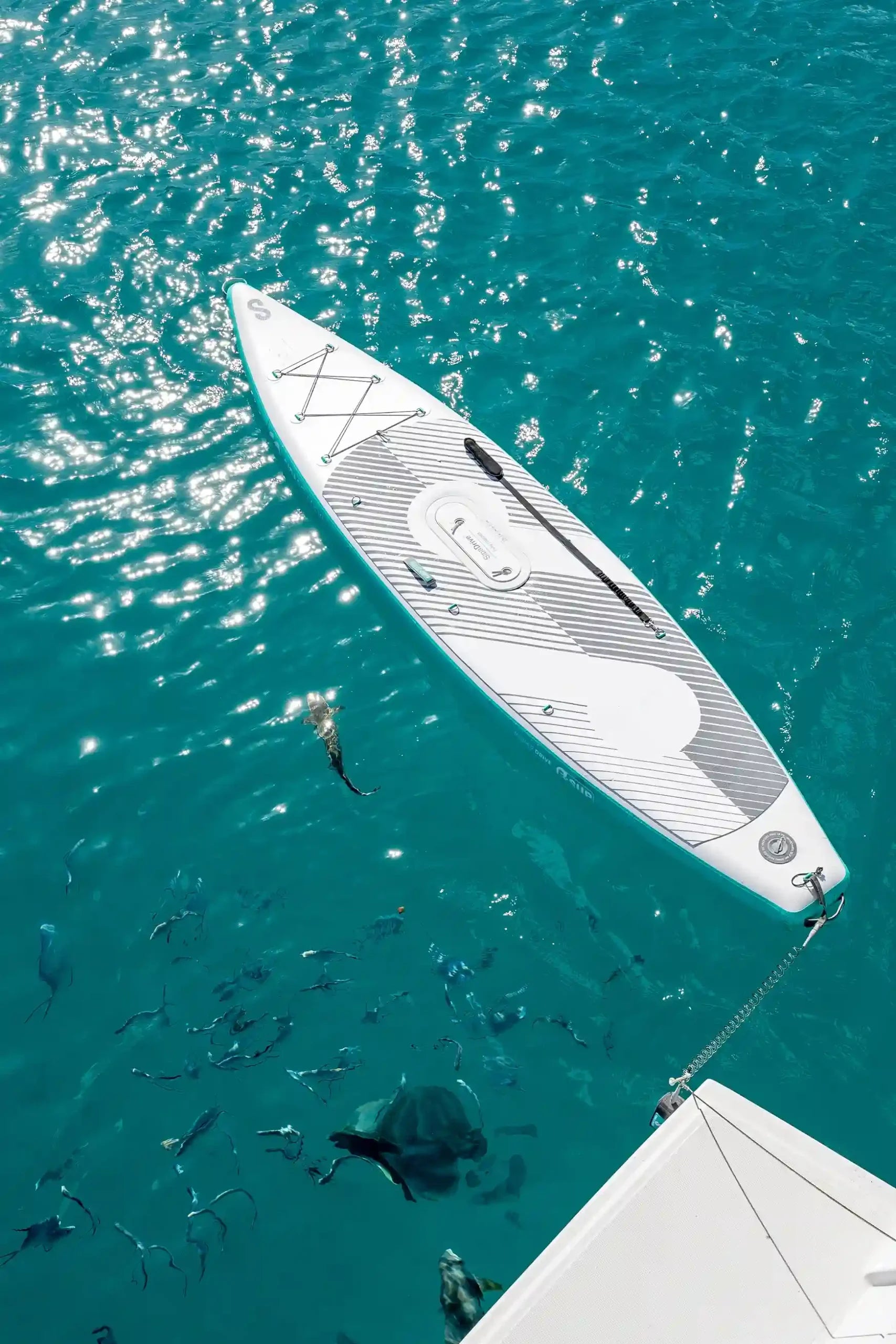 Self-inflating electric paddleboard rental with power assist, delivered to docks, cabins, and lakeside properties across Flathead Valley, Montana.